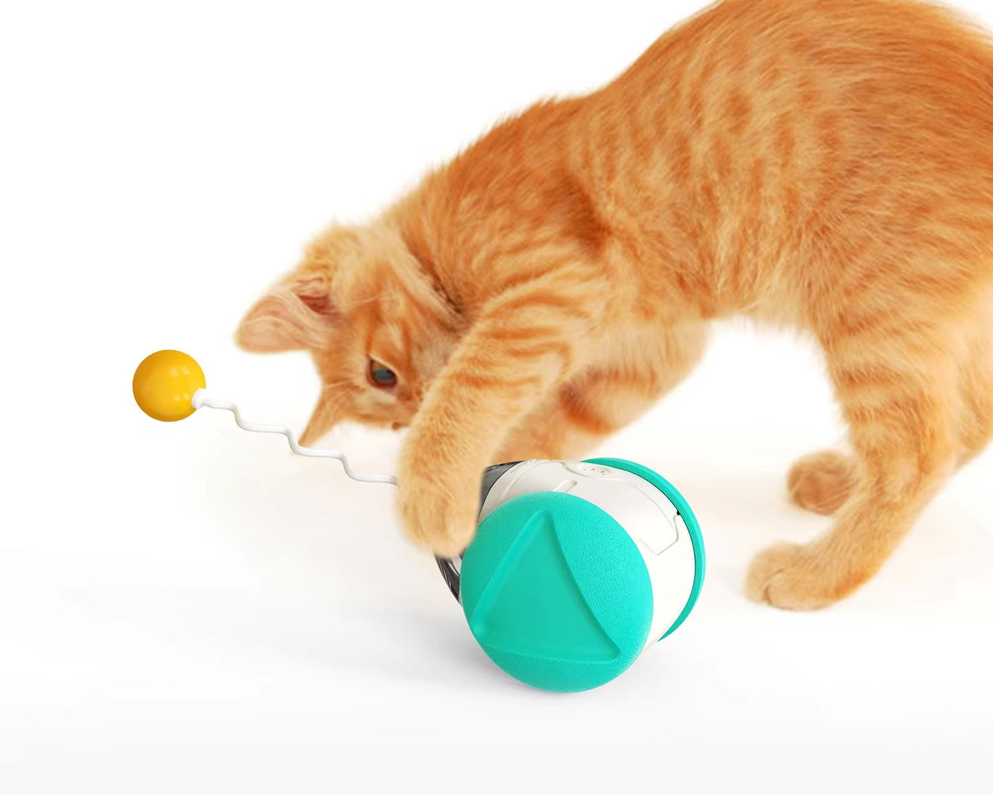 Interactive Squeaky Balance Toy – Fun for Dogs & Cats