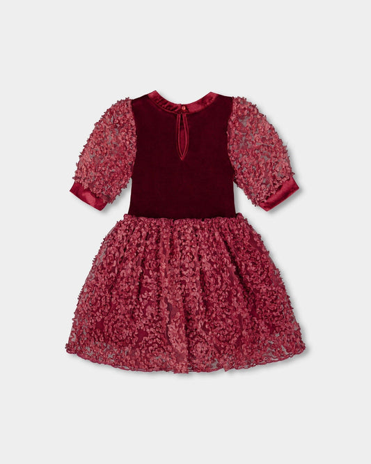 Puff Sleeve Bi-Material Velour And Lace Dress Red